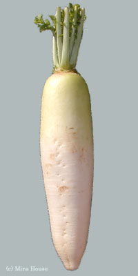 _CR̉摜