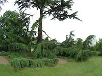 From Victoria Gate to Palm House /FinePix S2 Pro