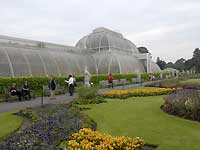 Palm House /Nikon D200