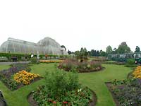 Palm House /FinePix S2 Pro