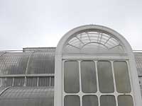 Palm House /Nikon D200