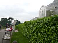 In front of Palm House /Lumix FX33