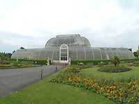 Palm House /FinePix S2 Pro