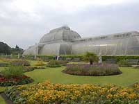 Palm House /Nikon D200