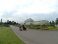 Palm House /FinePix S2 Pro