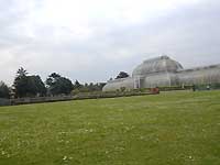 Palm House /Nikon D200