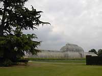 Palm House /Nikon D200