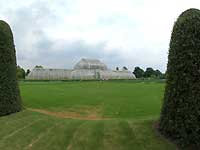 Palm House /FinePix S2 Pro