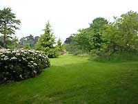 near the Princess of Wales Conservatory /Lumix FX33
