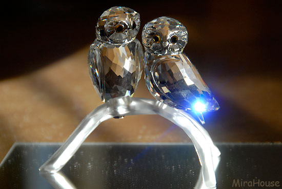 Swarovski̒u