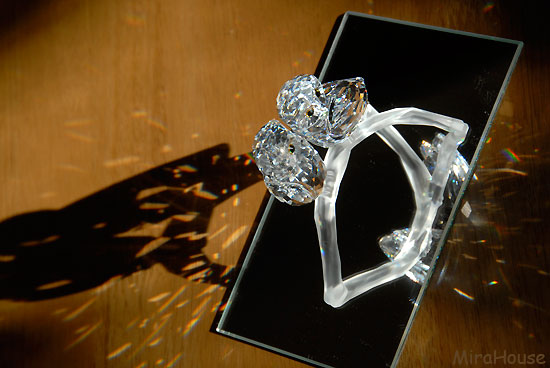 Swarovski̒u