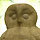 r܁EtNE̎ʐ^P