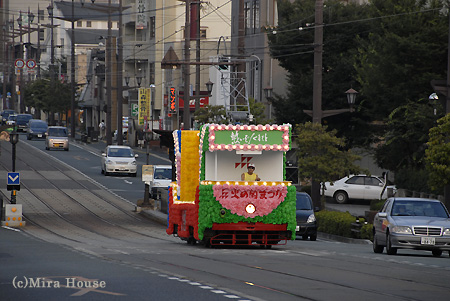 RJR[̎ʐ^