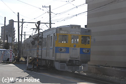 F{dS6000`̎ʐ^