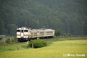 Ln40n5A̎ʐ^R