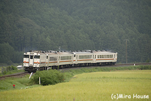 Ln40n5A̎ʐ^S