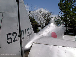 OW T-6G