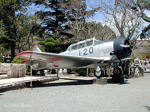 T-6G
