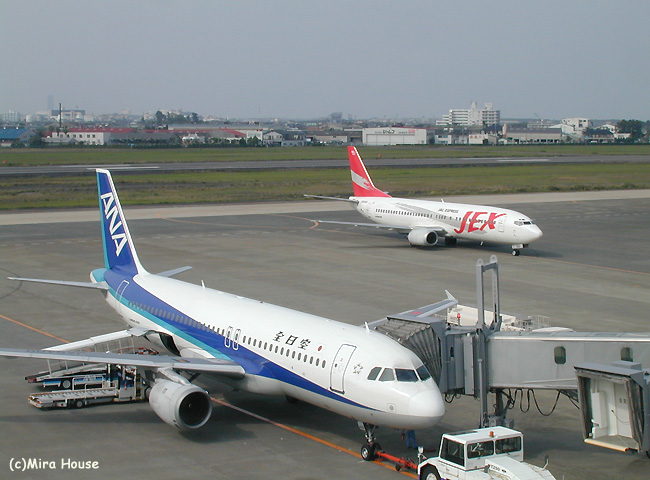 JEX JA8999,ANA JA8400 @宮崎空港