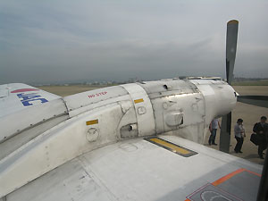 YS-11