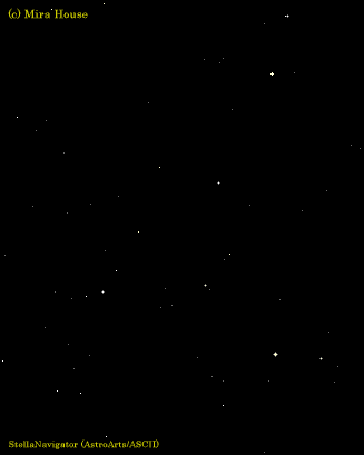 ނӂ̐}C
