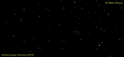 ܍ӂ̐}C