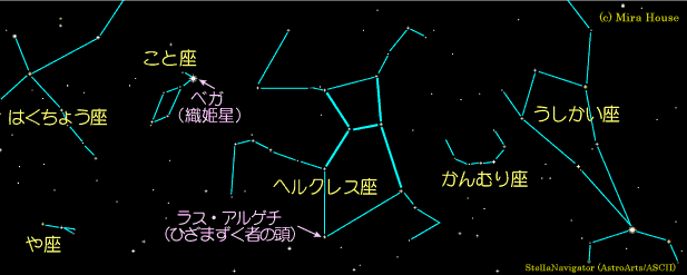 wNXӂ̐}