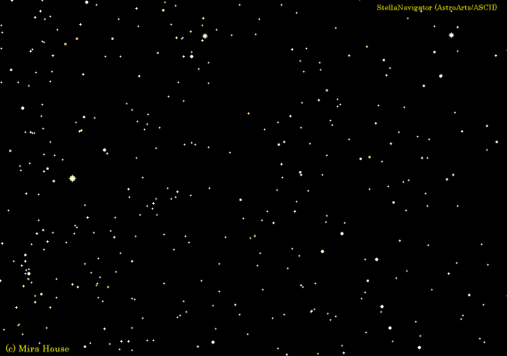 ܂˂ӂ̐}C