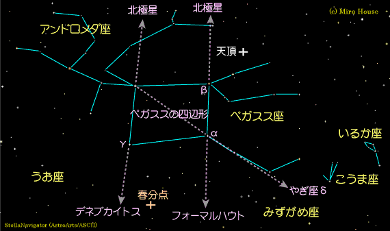 yKXXӂ̐}