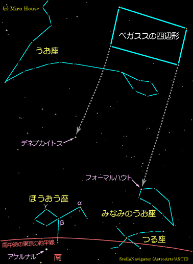 傤ӂ̐}