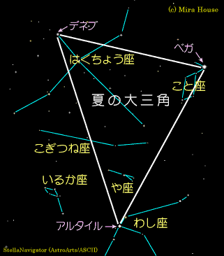 ˍӂ̐}
