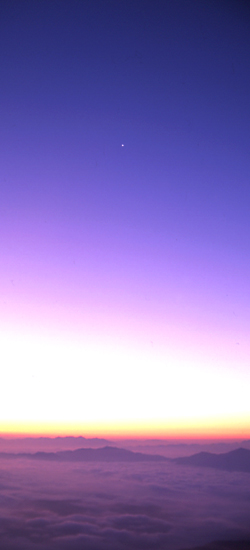 _CƋ̎ʐ^