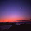 Dawn Purple