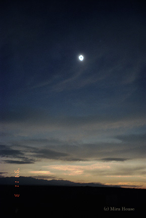 1994Ny[̊FH̎ʐ^