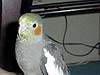 2003N1114̎ʐ^