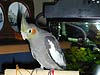 2003N1117̎ʐ^