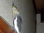 2003N1122̎ʐ^
