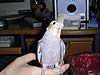2003N1226̎ʐ^