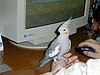 2003N1226̎ʐ^