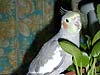 2004N114̎ʐ^