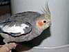 2004N131̎ʐ^