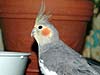 2004N131̎ʐ^