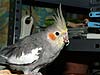 2004N131̎ʐ^