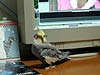 2004N25̎ʐ^