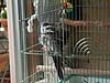 2004N822̎ʐ^