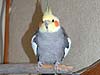 2004N113̎ʐ^