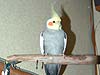 2004N113̎ʐ^
