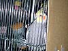 2004N1223̎ʐ^