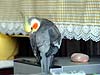 2005N618̎ʐ^