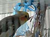 2005N922̎ʐ^